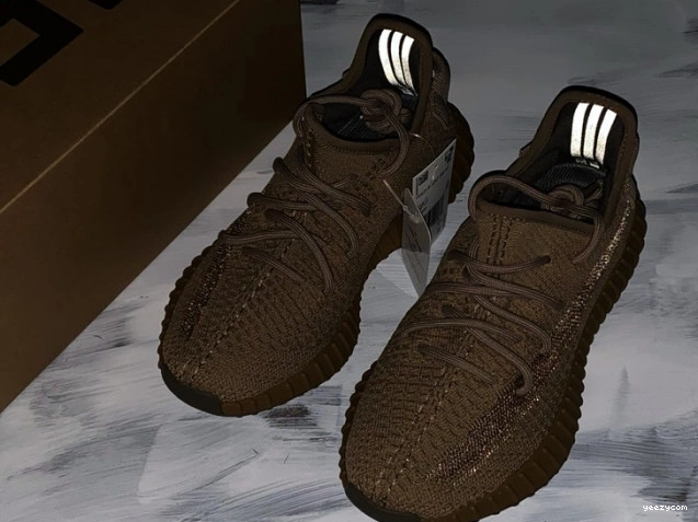Yeezy Adidas 350 FX9033 Earth V2 Boost 1010